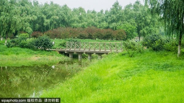 京郊公园踏青，赏美景享惬意生活[墙根网]