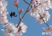 市属公园15处初春美景推荐，周末可以安排了