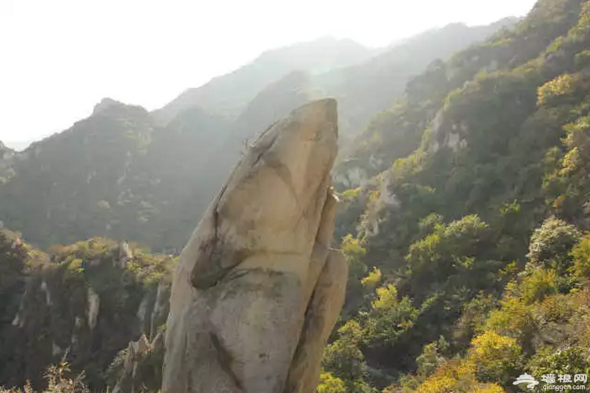 2019最全北京赏花指南！时间地点都告诉你，再也不用担心错过花期了！[墙根网]