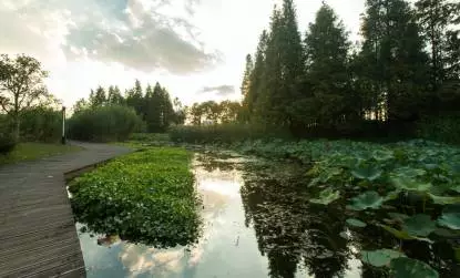 最美的江景季来了 去世博区域三大免费公园打卡吧[墙根网]