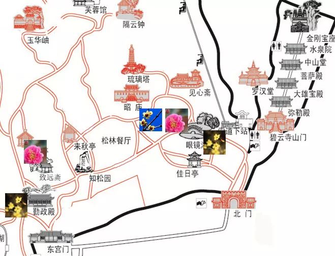2019北京香山公园赏花攻略（花期+线路+亮点）[墙根网]