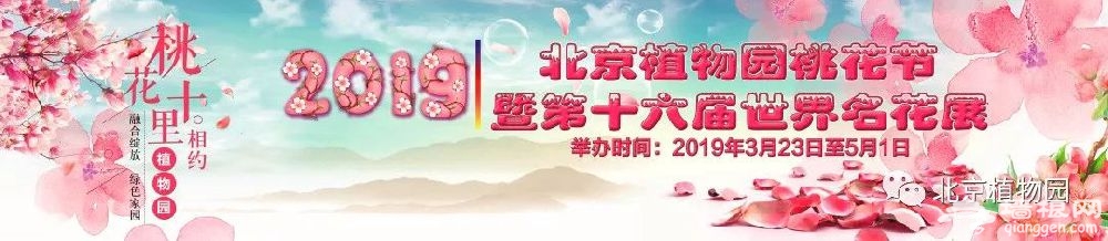 2019北京植物園桃花節游園攻略