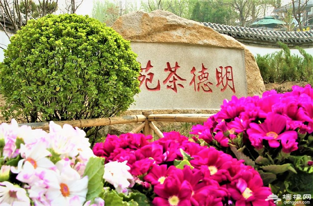 2019年凤凰岭第十九届杏花节3月底将开幕