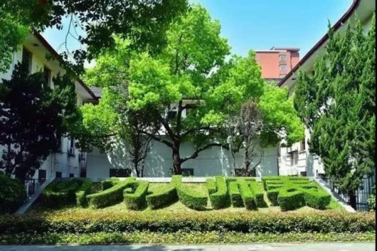 上海高校春意浓！一起来看32所校园的明媚春光[墙根网]