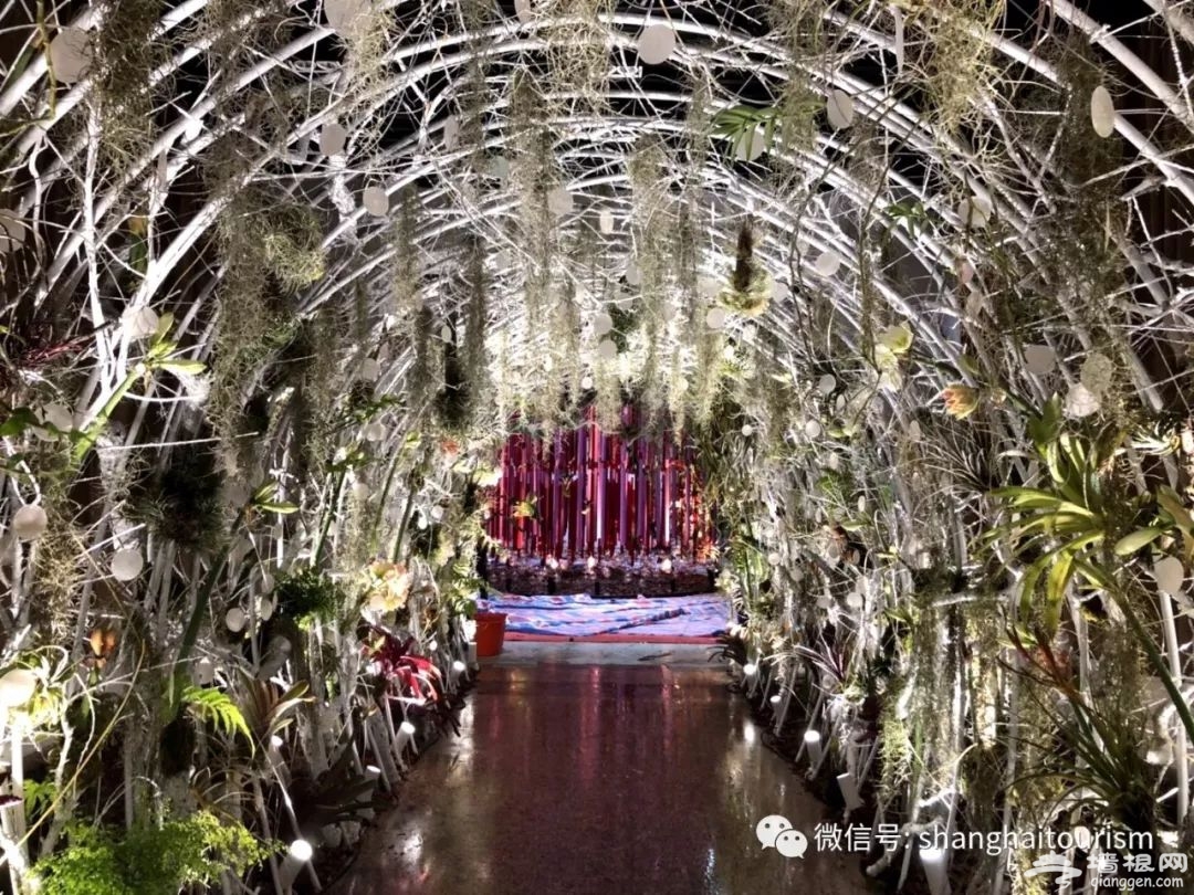 最新网红打卡地竟藏在上海植物园，快到上海（国际）花展一探究竟[墙根网]