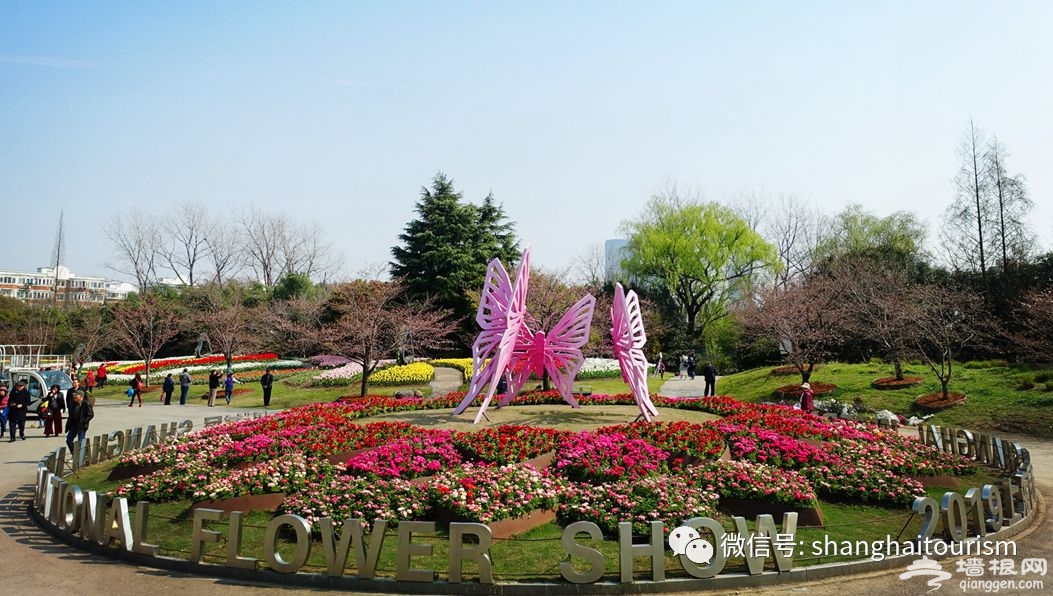 最新网红打卡地竟藏在上海植物园，快到上海（国际）花展一探究竟[墙根网]