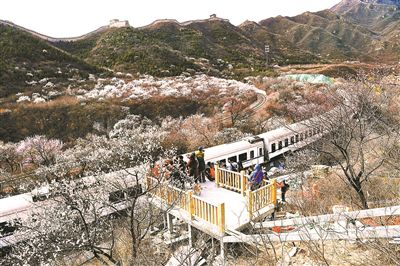 “穿越花海”拍摄地添观景台 预计4月下旬全部完工