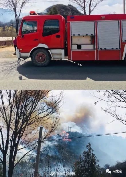 突发！密云平谷交界处山林起火，火借风势，浓烟滚滚[墙根网]