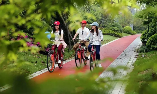 崇明踏青骑游线路推荐，享受春日时光[墙根网]