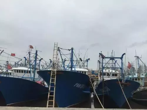 崇明踏青骑游线路推荐，享受春日时光[墙根网]