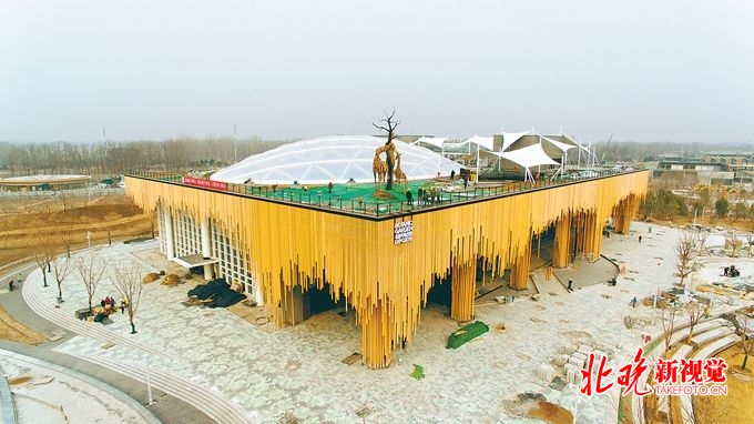 探营北京世园会植物馆：汇聚2万多株热带植物，为红树林移民模拟环境[墙根网]