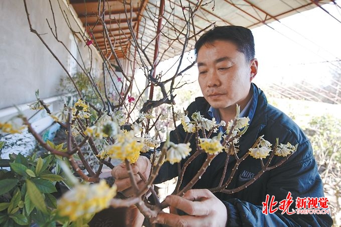 北京中山公园“龙游”参展世园会，有“烤货” 技术不怕时间紧[墙根网]