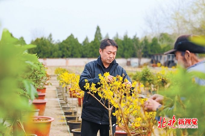 北京中山公园“龙游”参展世园会，有“烤货” 技术不怕时间紧[墙根网]
