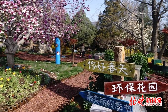 北京香山公园浪漫山花进入观赏期 首次推出三大科普体验[墙根网]