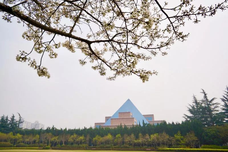 清明小长假，上海精彩文旅活动全指南[墙根网]
