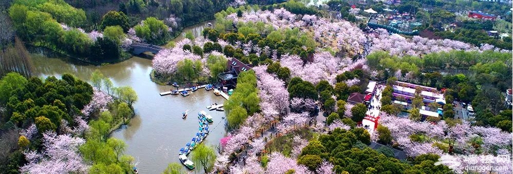 清明小长假，上海精彩文旅活动全指南[墙根网]