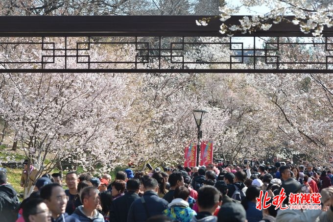 放风筝、赏春花、种绿植！北京这20家公园推出27项游园活动[墙根网]