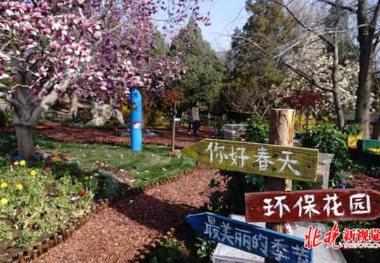 北京香山公园浪漫山花进入观赏期 首次推出三大科普体验