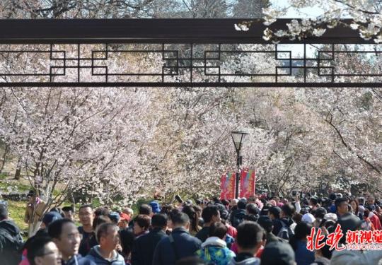放风筝、赏春花、种绿植！北京这20家公园推出27项游园活动
