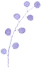 嘉定紫藤园第一株紫藤绽放！下周起或陆续迎盛花期[墙根网]