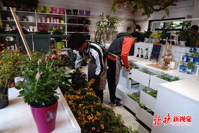 北京植物园首开园艺生活馆 仙人掌、迷迭香、食虫草等这儿都有[墙根网]