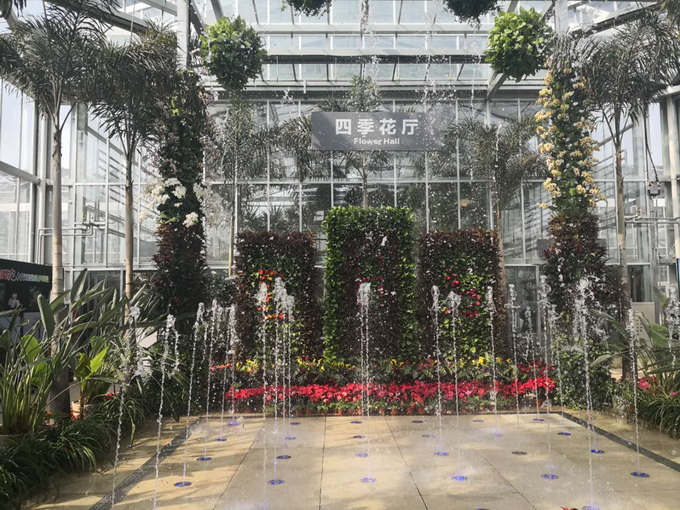 北京最古老植物温室重新开放 首次在国内展出4种猴面包树[墙根网]