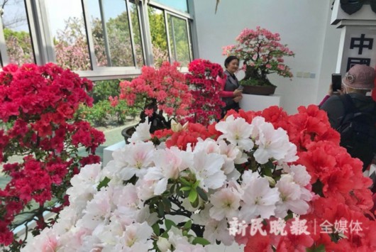 微信图片_20190408113823.jpg