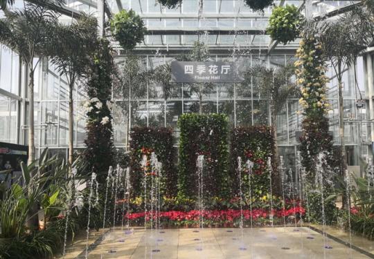 北京最古老植物温室重新开放 首次在国内展出4种猴面包树
