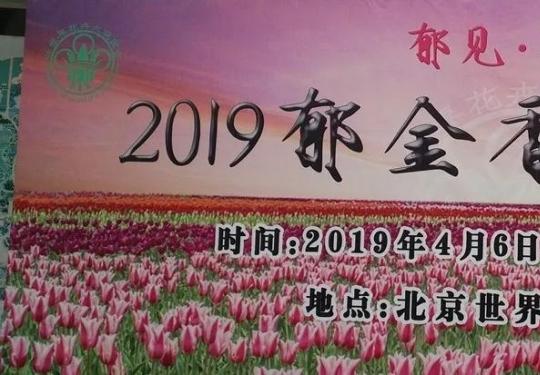 2019北京世界花卉大观园郁金香文化节（时间+门票）