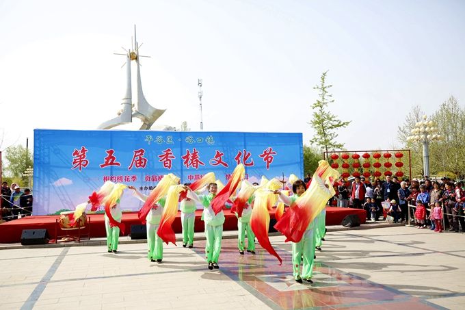 北京平谷第五届香椿文化节开幕，峪口镇进入采摘季，将持续到5月中旬[墙根网]