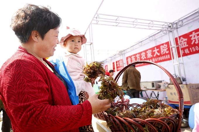 北京平谷第五届香椿文化节开幕，峪口镇进入采摘季，将持续到5月中旬[墙根网]