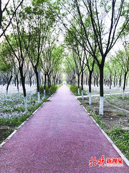 北京温榆河绿道朝阳段比较隐蔽，属于郊野型绿道很适合骑行