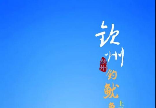 钦州鱿鱼疯狂现身，可你在哪里？来体验一把钓鱿鱼的感觉吧！