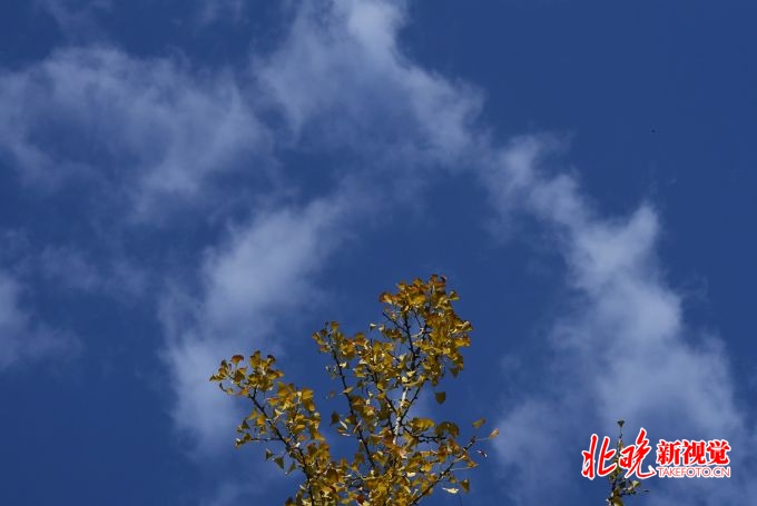 五一收费公路免费 网友：现在做旅游攻略还来得及吗？[墙根网]