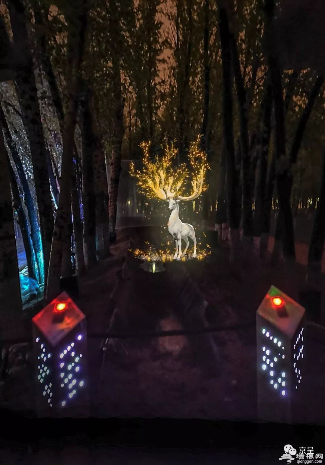 夜游北京世园会，探秘“奇幻光影森林”[墙根网]