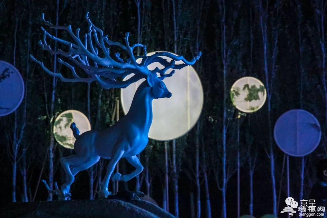 夜游北京世园会，探秘“奇幻光影森林”[墙根网]