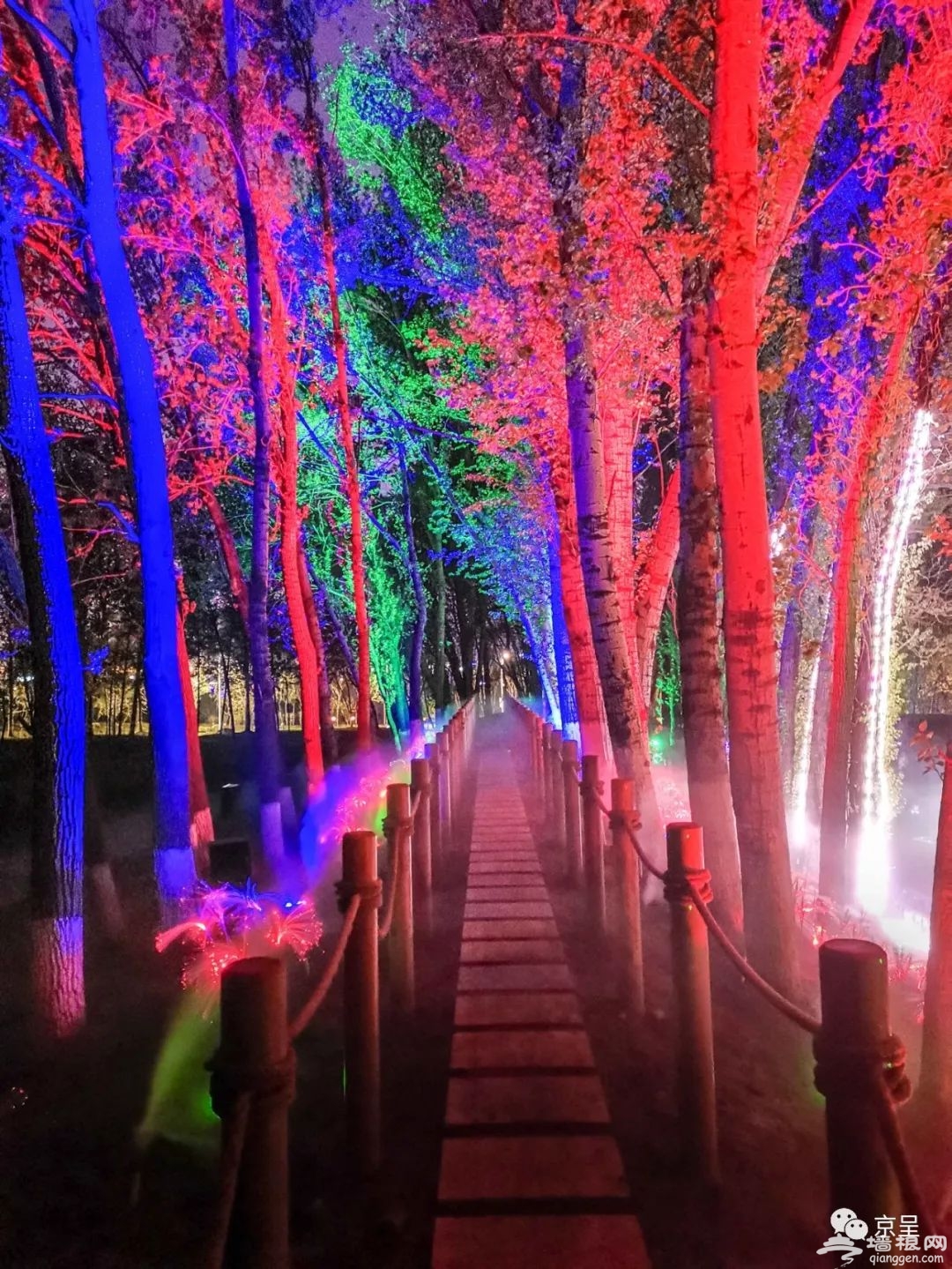 夜游北京世园会，探秘“奇幻光影森林”[墙根网]