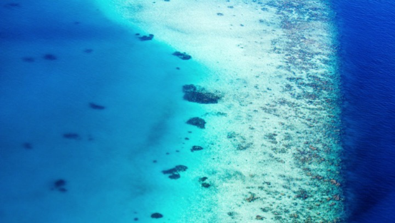 博华太平洋抢占美国塞班岛先机，创造“远洋奇迹”[墙根网]