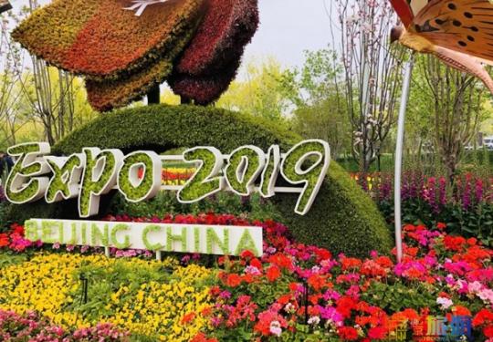 世园会开园首日盛况来了！百余展园、高清实拍图全都有！