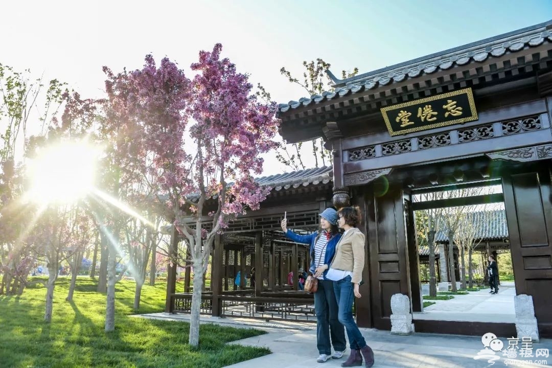 北京世园会最强攻略！十处必去景点拍出最美网红照[墙根网]