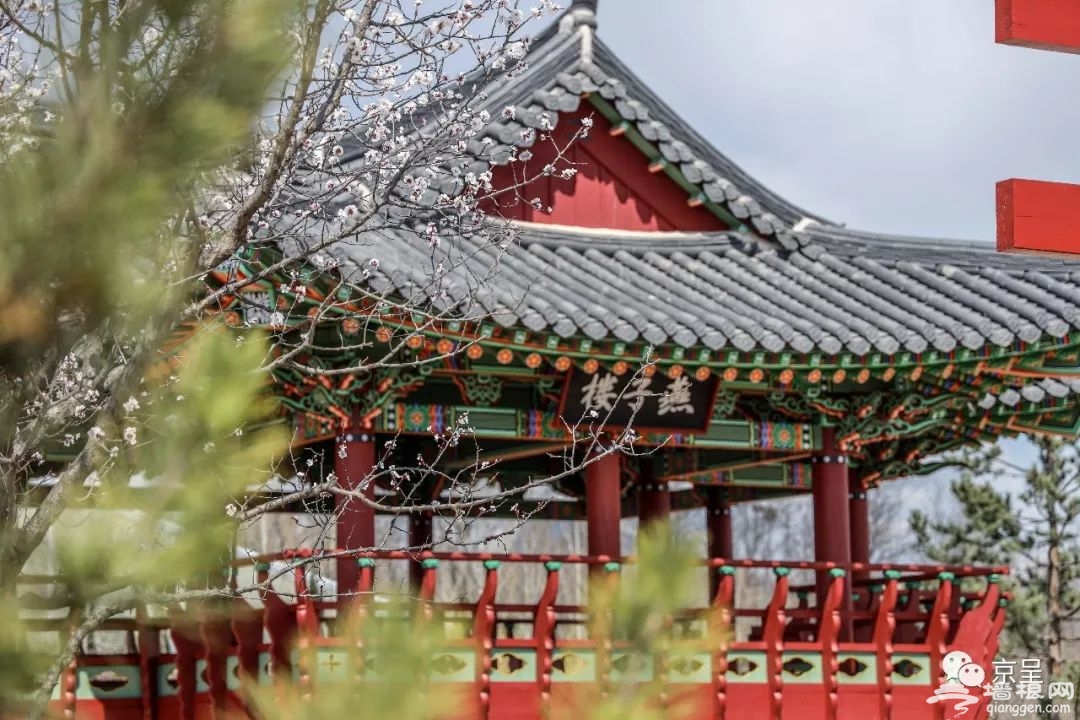 北京世园会最强攻略！十处必去景点拍出最美网红照[墙根网]