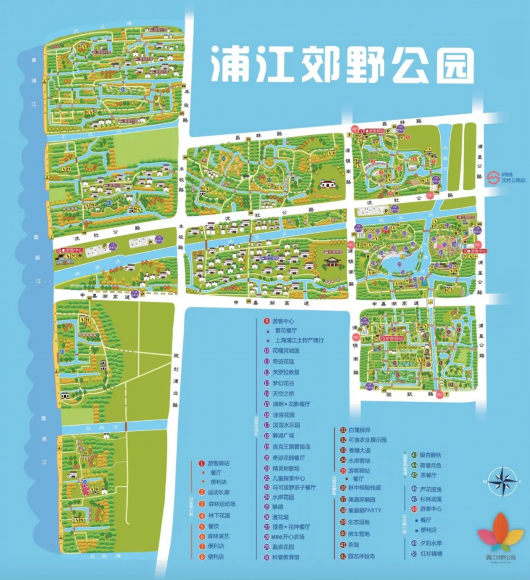 上海六处花海七个郊野公园，假期逛起来！[墙根网]