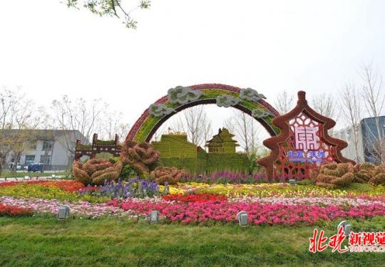 世园·打卡北京16区主题花坛：一日看尽北京园各区艺特色