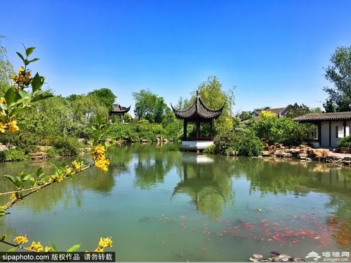 北京一日游推荐！北京这些主题公园风景如画，好玩又有趣！[墙根网]