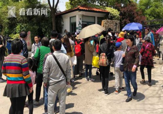 单日游客量创新高 上海家庭园艺展成网红打卡地