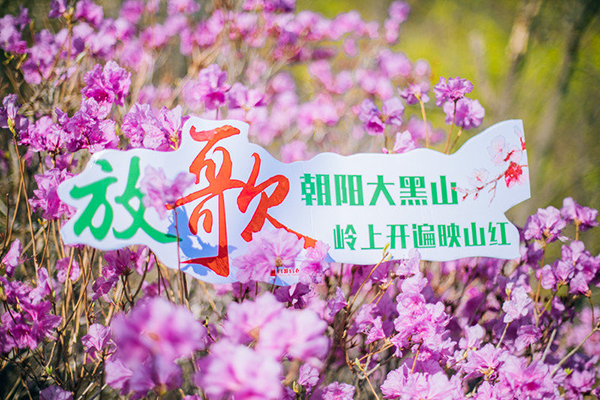 放歌朝阳大黑山——大黑山风景区2019春季旅行攻略[墙根网]