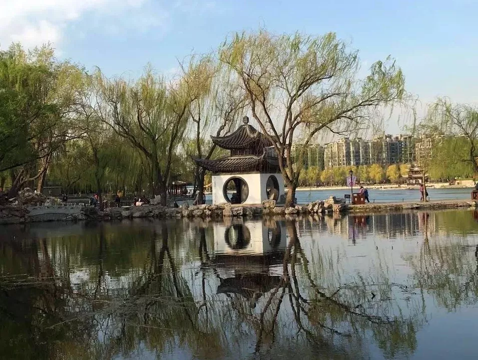 北京月季地图，2019北京月季文化节将在这些地方举办！[墙根网]