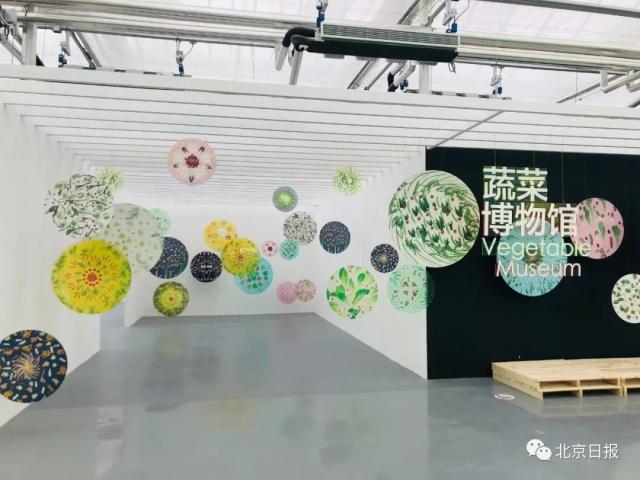 北京世园会百蔬园里“菜比花娇” 有哪些新鲜的亮点可“采摘”[墙根网]