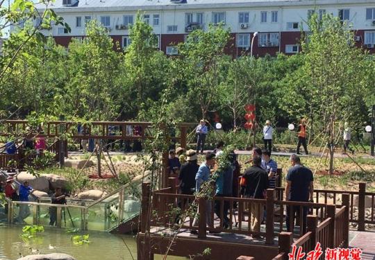 北京莲花池公园扩建后开园，新增5000多平米水系面积