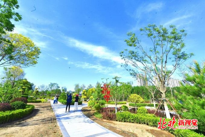 北京通州东部多了一个休闲空间 百亩亲水公园7月中开园迎客[墙根网]